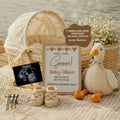 Duck Duck Goose Will be On the Loose, Goose Digital Pregnancy Announcement, Instant Download Baby Reveal, Customizable Spring, Canva Editable Template - TailoredTreasuresDigitalDesigns™