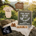 Our Next Great Adventure Digital Pregnancy Announcement, Gender Neutral Customizable Hiking Editable Template - TailoredTreasuresDigitalDesigns™