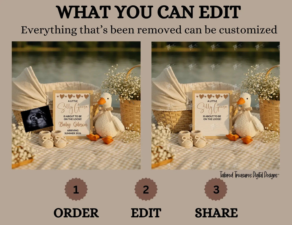 A Little Silly Goose is About to be Loose, Goose Digital Pregnancy Announcement, Instant Download Spring or Summer Baby Reveal, Customizable Canva Editable Template - TailoredTreasuresDigitalDesigns™