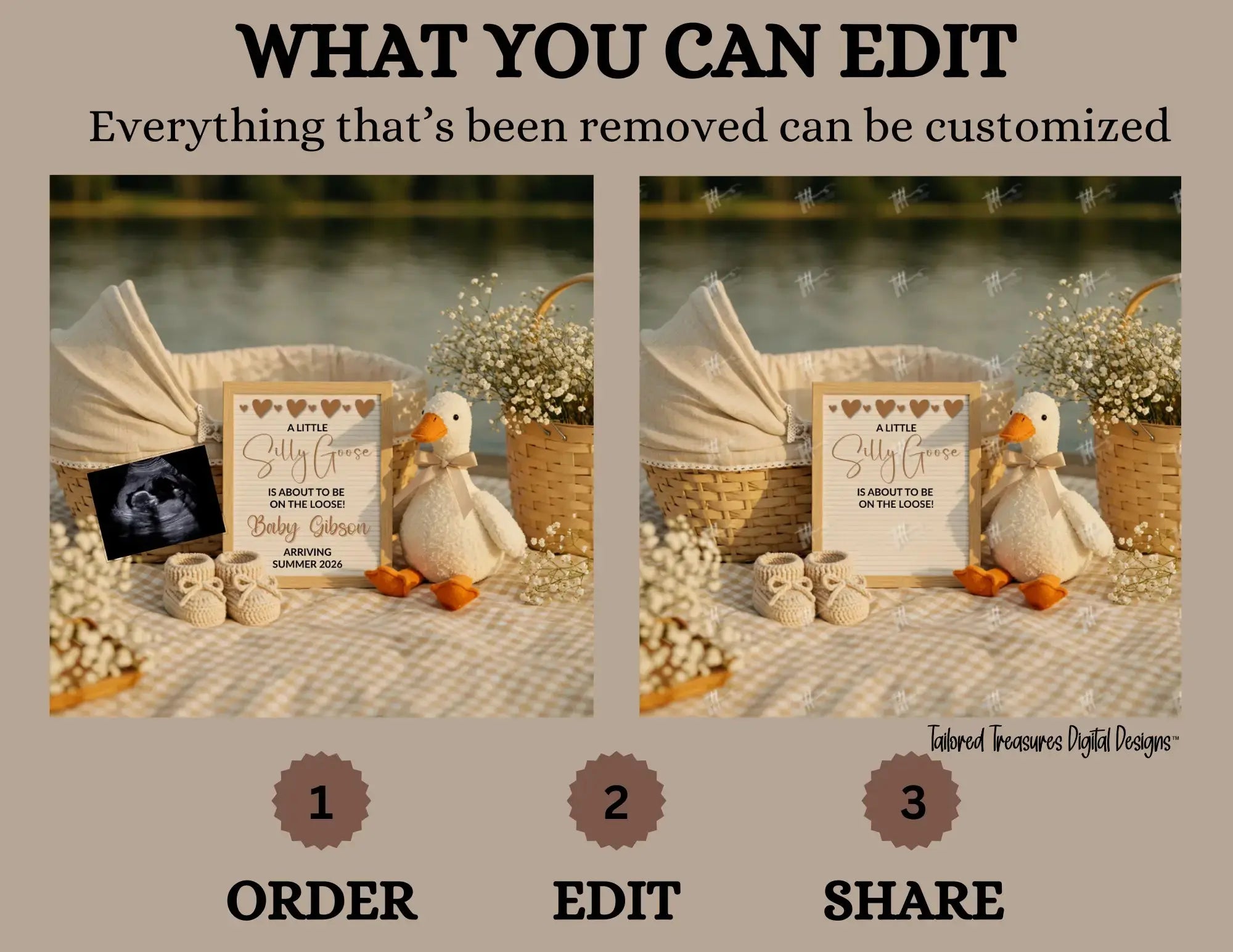 A Little Silly Goose is About to be Loose, Goose Digital Pregnancy Announcement, Instant Download Spring or Summer Baby Reveal, Customizable Canva Editable Template - TailoredTreasuresDigitalDesigns™