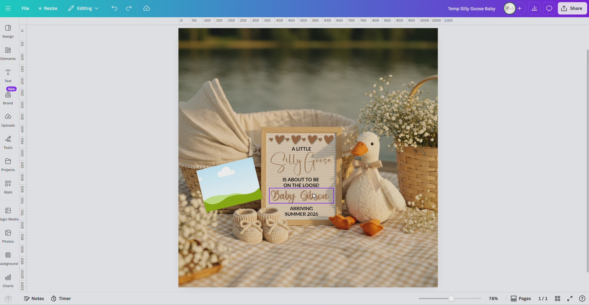 Digital Pregnancy Announcement, Silly Goose, Instant Download Baby Reveal, Personalized Canva Editable Template